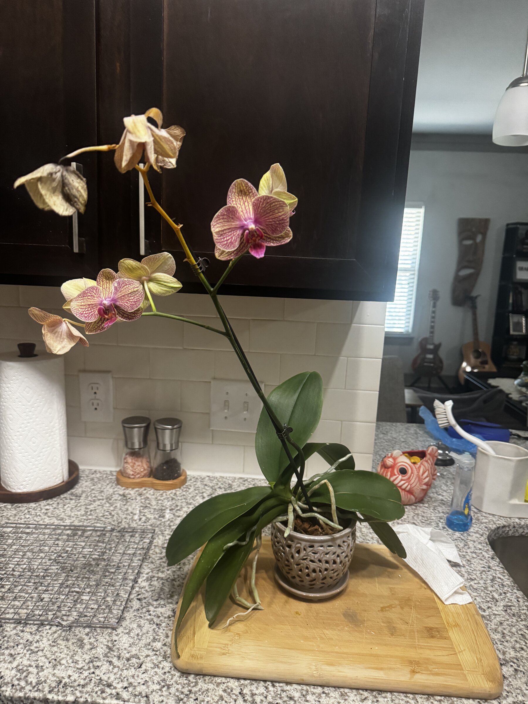 Honey Pie — 2026-09-07 — Weekly Update