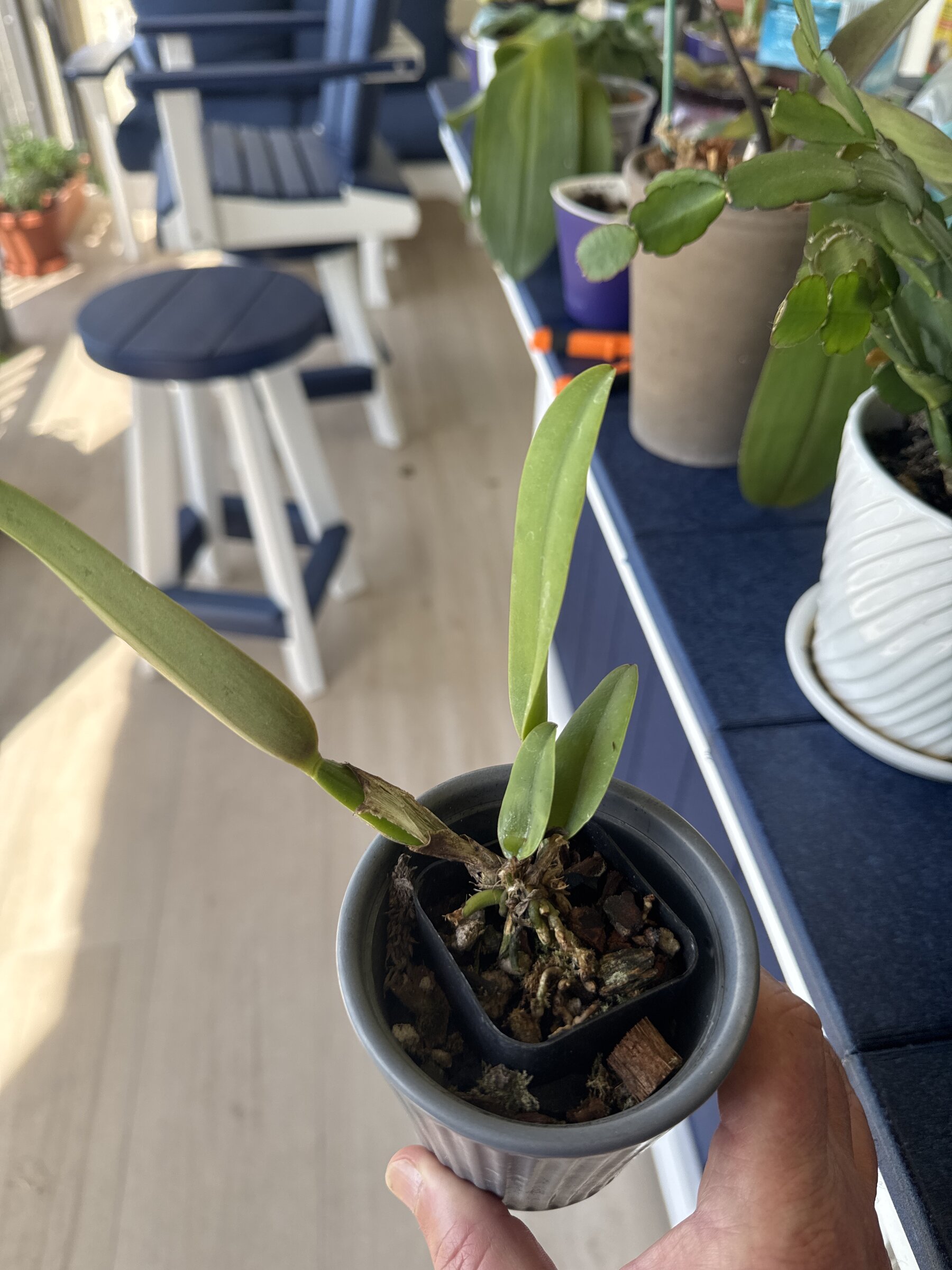 Mother Nature’s Son — 2026-03-07 — Weekly Check