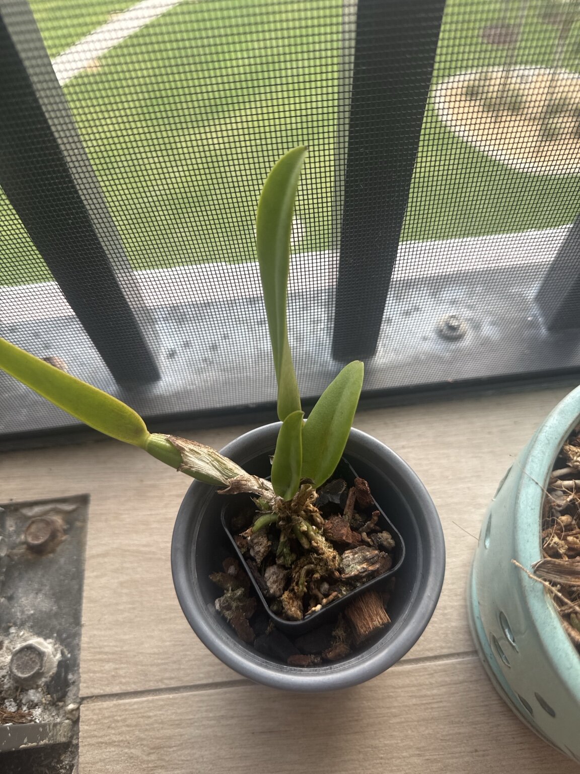 Mother Nature’s Son — 2026-03-16 — One Week Later