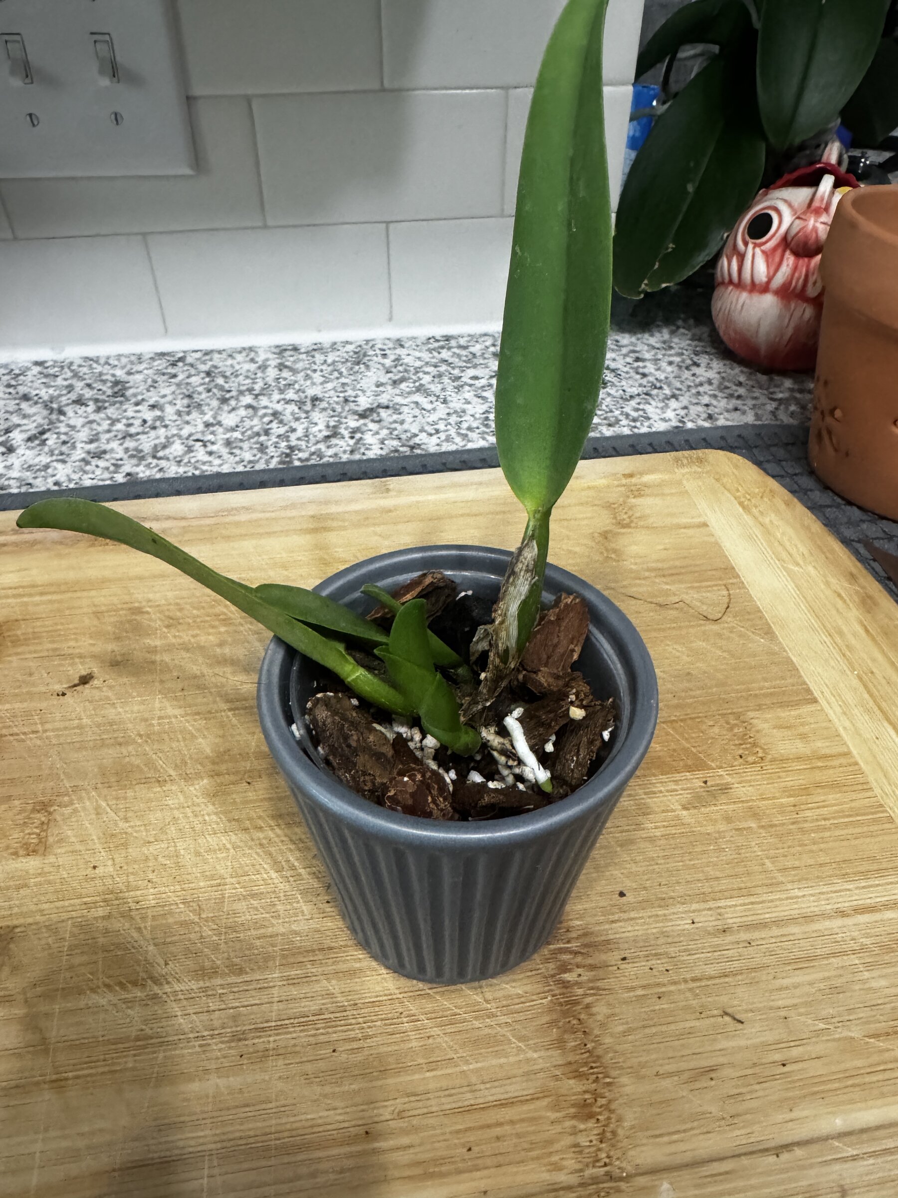 Mother Nature’s Son — 2026-08-23 — Weekly Update