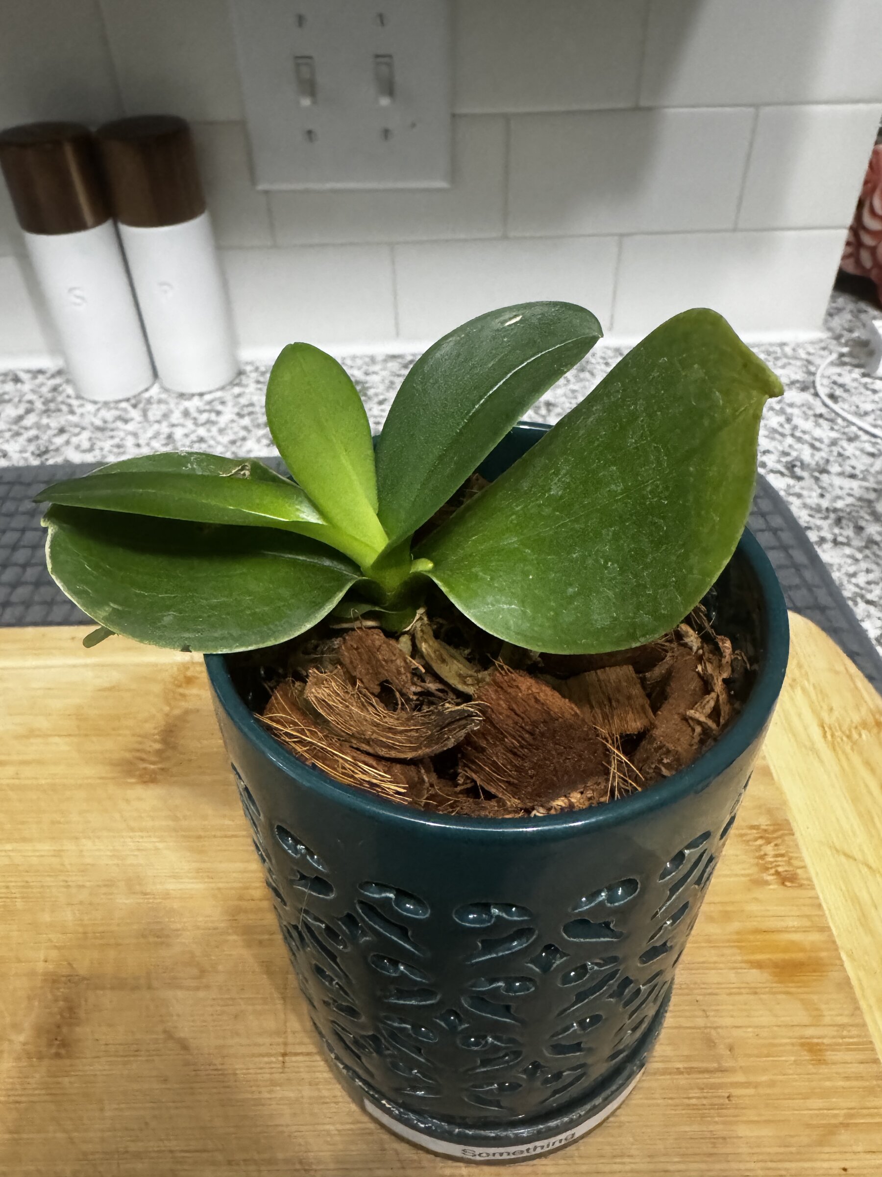 Something — 2026-07-19 — Steady Growth Wins